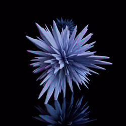Harmonics Volume 2 #9741