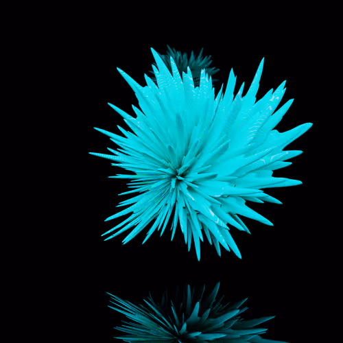 Spherical Harmonics Volume 2
