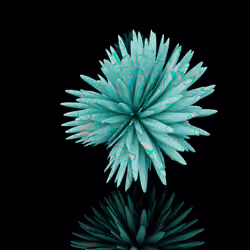 Harmonics Volume 2 #2798