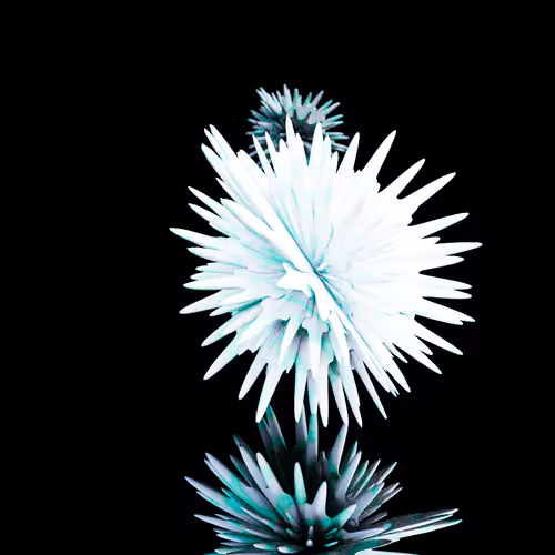 Spherical Harmonics Volume 2