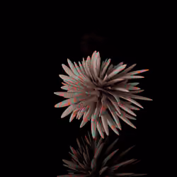 Harmonics Volume 2 #6647