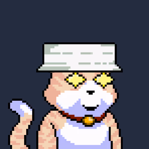 Cat Syndcate
