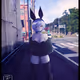It's not the year of the Rabbit just yet.