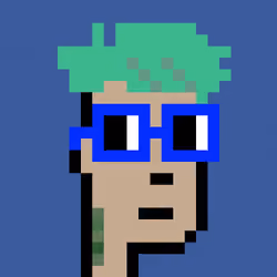 NounPunks #989