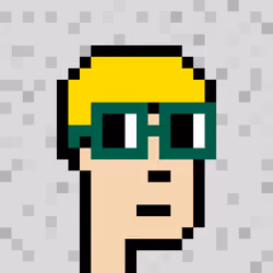 NounPunks #9055