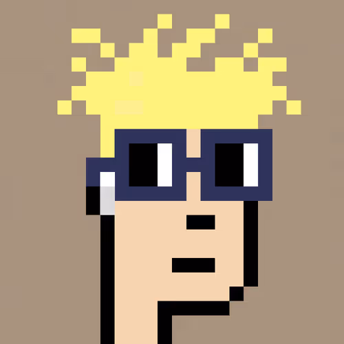NounPunks #489