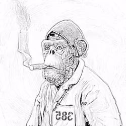 Sketchy Old Ape #539