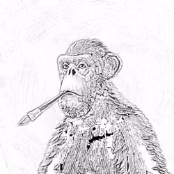 Sketchy Old Ape #302