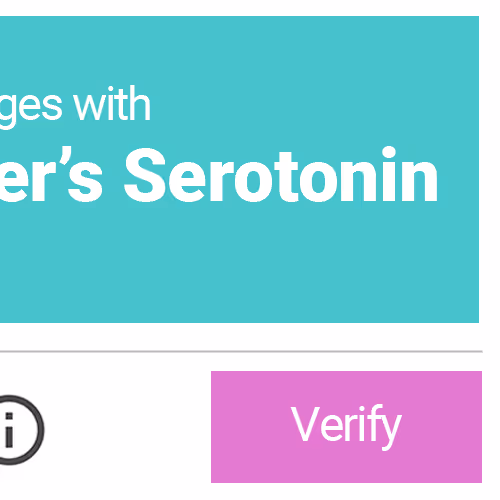 reCAPTCHA CHIBI #311