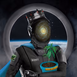 Space Resistance #339