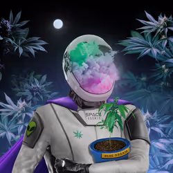 Space Resistance #850