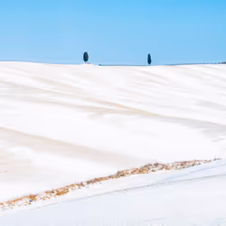 Two Lonely Souls