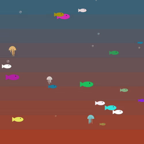 O0 Fish 0o