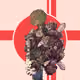 1080