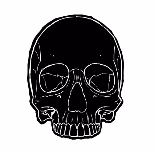 Skullz Project V2