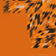 57896044618658097711785492504343953928336404167424974337045665041115405877517