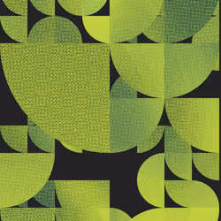 57896044618658097711785492504343953927315557066662158946655541218820101244113