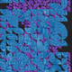 57896044618658097711785492504343953927315557066662158946655541218820101244571