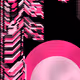 57896044618658097711785492504343953928336404167424974337045665041115405877406