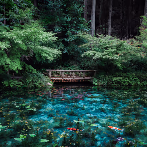 pond without a name 