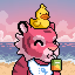 PixelCub #11364