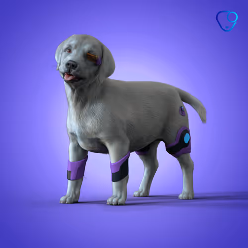 Digital Dogs Gen 0