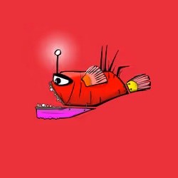 243