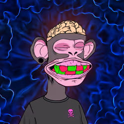 Rich ape #762
