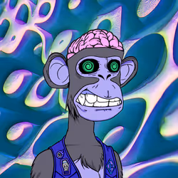 Rich ape #454