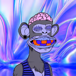 Rich ape #112