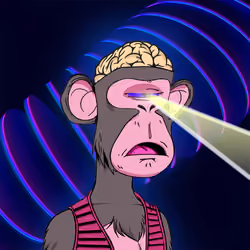 Rich ape #725