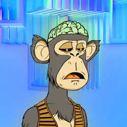 Rich ape #1373