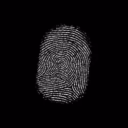 Subject 117
