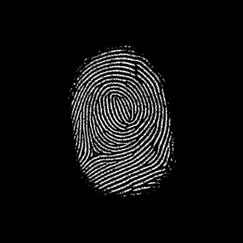 Subject 127