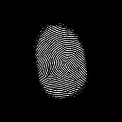 Subject 167