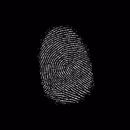 Subject 337