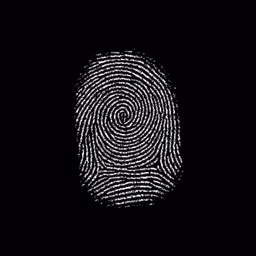 Subject 133