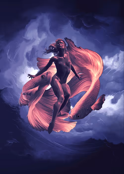 Item #14300020095 Media