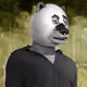 1529