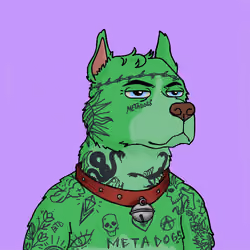 Meta Dog #4953
