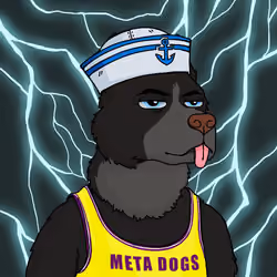 Meta Dog #4988