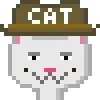 Catsonchain