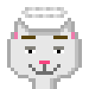 Cat #519