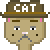Cat #387