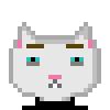 Cat #303