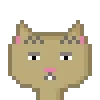 Cat #795