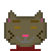 Cat #31
