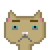 Cat #877