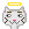 Cat #811
