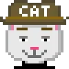 Cat #886